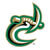 Charlotte 49ers Logo